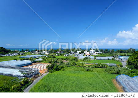 Scenery around Tancha, Onna Village, Okinawa Scenery around Tancha, Onna Village, Okinawa 131904178