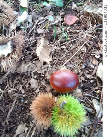 馬龍三兄弟 131904333