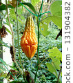 Overripe fruit loofah 131904382