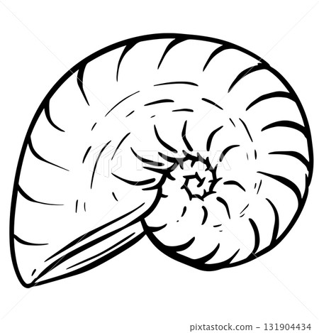 Hand drawn clipart illustration of seashell shell mollusc seaside shellfish Hand drawn clipart illustration of seashell shell mollusc seaside shellfish 131904434
