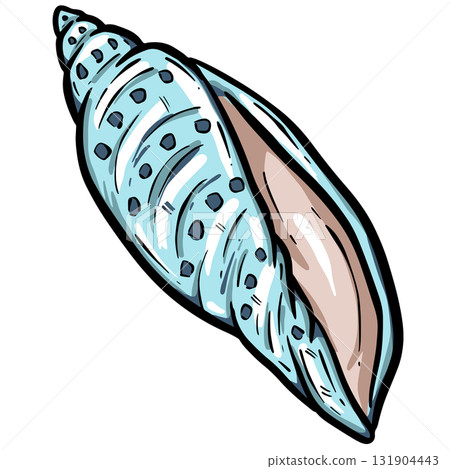 Hand drawn clipart illustration of seashell shell mollusc seaside shellfish Hand drawn clipart illustration of seashell shell mollusc seaside shellfish 131904443