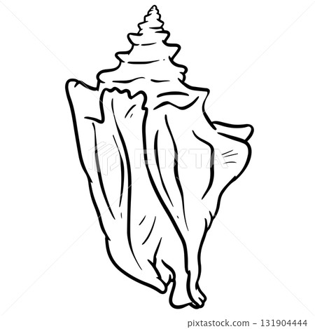 Hand drawn clipart illustration of seashell shell mollusc seaside shellfish  131904444