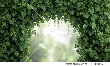 常春藤覆蓋的入口 131904718