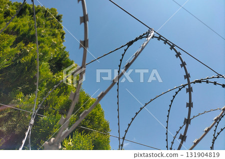 Twisted barbed wire against the background of tree crowns and a blue clear cloudless sky. A symbol of restriction of movement and freedom, the limit of possibilities. Twisted barbed wire against the background of tree crowns and a blue clear cloudless sky. A symbol of restriction of movement and freedom, the limit of possibilities. 131904819