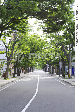 Tree-lined street 1 Tree-lined street 1 131905172