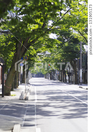 Tree-lined street 10 131905173