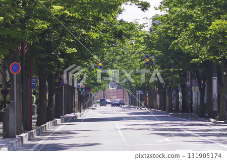 Tree-lined street 9 Tree-lined street 9 131905174