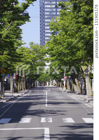 Tree-lined street 5 Tree-lined street 5 131905178