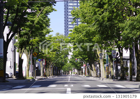 林蔭大道 4 131905179