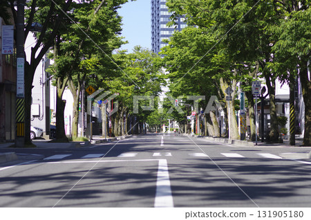 Tree-lined street 3 Tree-lined street 3 131905180