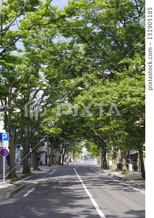 Tree-lined street 19 Tree-lined street 19 131905185