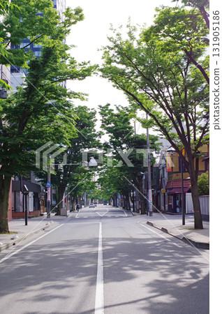綠樹成蔭的街道 18 綠樹成蔭的街道 18 131905186