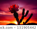 Cactus Flower Silhouette in Desert Glow 131905442