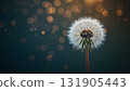 Elegant Dandelion in Front of Dark Bokeh Light Background 131905443