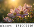 Fresh Dew on Flower Petals at Sunrise 131905446