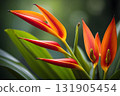 Close-Up of Heliconia Bloom Highlighting Fiery Hues and Green Bokeh 131905454