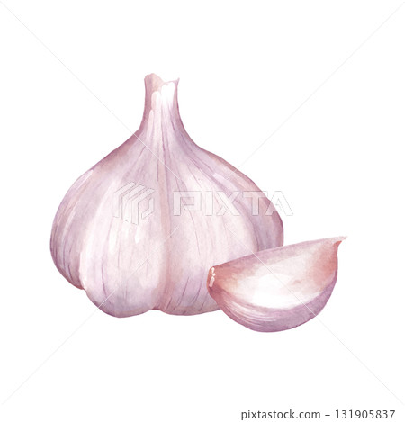 Watercolor illustration of white garlic bulb and single detached clove. Design for cooking blog decor, restaurant menu, recipe card, or healthy food packaging. 131905837