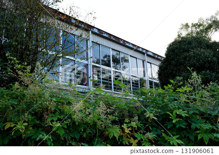 校園裡的樹木倒映在體育館二樓的玻璃窗上。 131906061