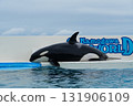 逆戟鯨 131906109