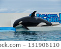 逆戟鯨 131906110