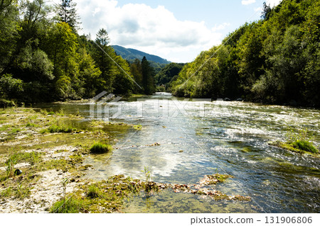 Beautiful Natural Background with Forest River in Summer Beautiful Natural Background with Forest River in Summer 131906806