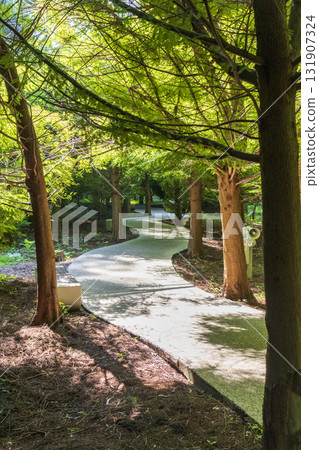 A path paved with small colored pebbles 131907324