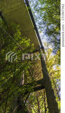 Wooden bridge passage in the woods. 131907362