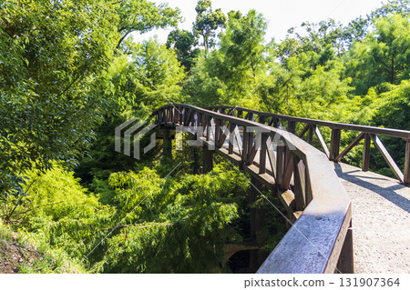 Wooden bridge passage in the woods. Wooden bridge passage in the woods. 131907364