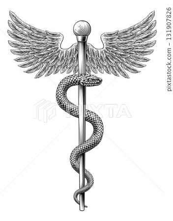 Rod of Asclepius Caduceus Medical Doctor Symbol Rod of Asclepius Caduceus Medical Doctor Symbol 131907826