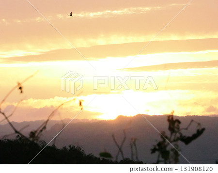 日出的天空 131908120