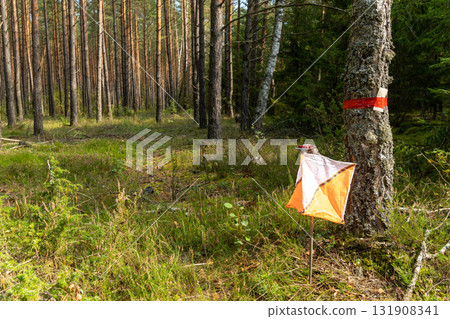 A prism marker and electronic composter at an orienteering control point A prism marker and electronic composter at an orienteering control point 131908341