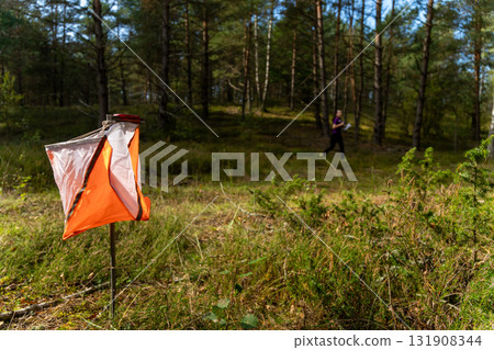 Street orienteering in a sunny pine forest. Street orienteering in a sunny pine forest. 131908344