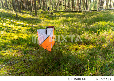 Street orienteering in a sunny pine forest. Street orienteering in a sunny pine forest. 131908345