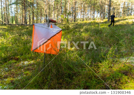 Street orienteering in a sunny pine forest. 131908346