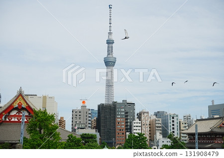 東京晴空塔和淺草寺，日本東京 131908479