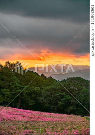 [Dawn] Akasoba Village [Minowa Town, Kamiina District] 131908601