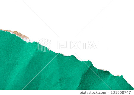 Green torn cardboard on a white background Green torn cardboard on a white background 131908747