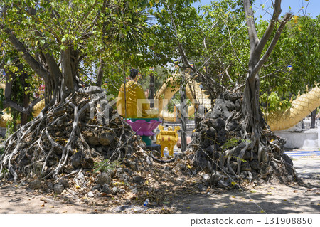 Banyan trees behind sculpture of meditating Buddha near the Chua Tu Van Pagoda in Cam Ranh, Vietnam 131908850