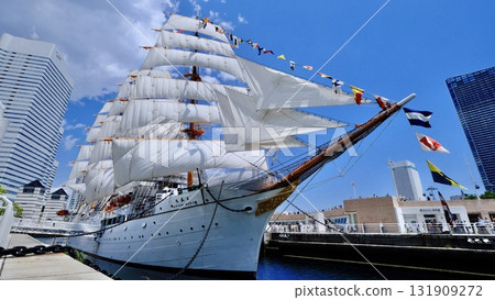Total sail exhibition sail Total sail exhibition sail 131909272