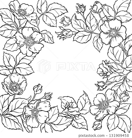 Wild Rose Branch with Flowers Outline Frame. 131909458