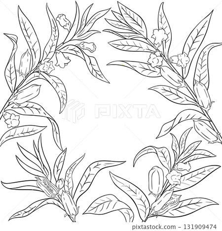 Sesame Branch with Seeds Outline Frame. Sesame Branch with Seeds Outline Frame. 131909474