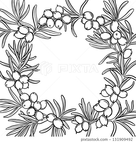 Sea Buckthorn Branch with Berries Outline Frame. 131909492