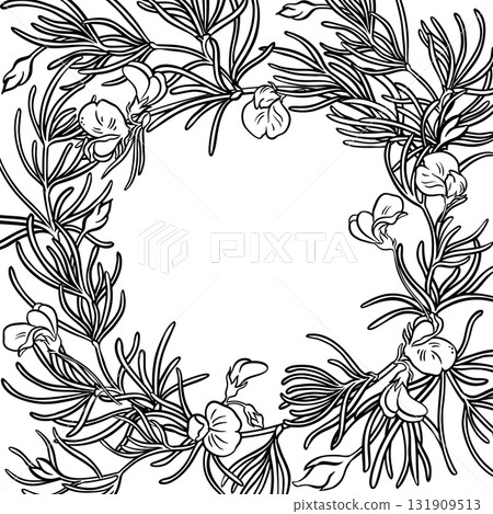 Rooibos Branch with Flowers Outline Frame. Rooibos Branch with Flowers Outline Frame. 131909513