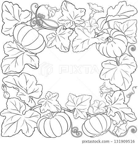 Pumpkin Plant with Fruits Outline Frame. Pumpkin Plant with Fruits Outline Frame. 131909516
