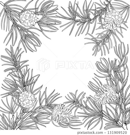Pine Branch with Cones Outline Frame. 131909520