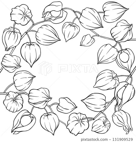 Phisalis Branch with Berries Outline Frame. 131909529