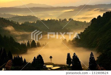 Yamakoshi rice terraces and terraced ponds under the sea of clouds at dawn Yamakoshi rice terraces and terraced ponds under the sea of clouds at dawn 131909624