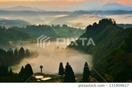 Yamakoshi rice terraces and terraced ponds under the sea of clouds at dawn Yamakoshi rice terraces and terraced ponds under the sea of clouds at dawn 131909627
