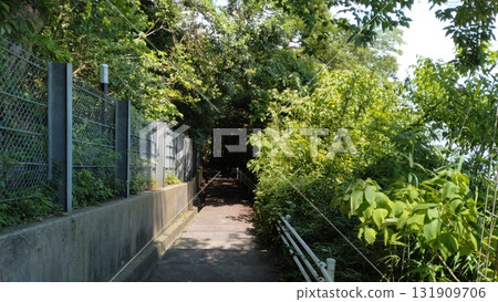 Minato Mirai Park: A narrow road on the ocean side Minato Mirai Park: A narrow road on the ocean side 131909706