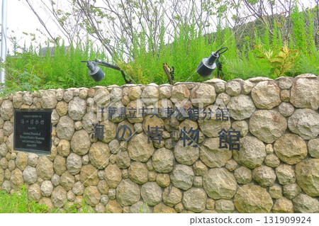 勝浦海洋博物館 勝浦海洋博物館 131909924